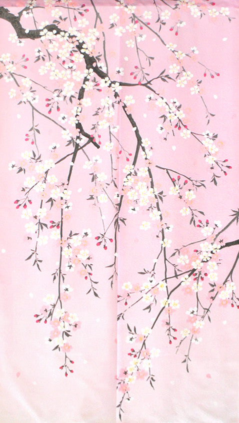 Noren - Weeping Cherry