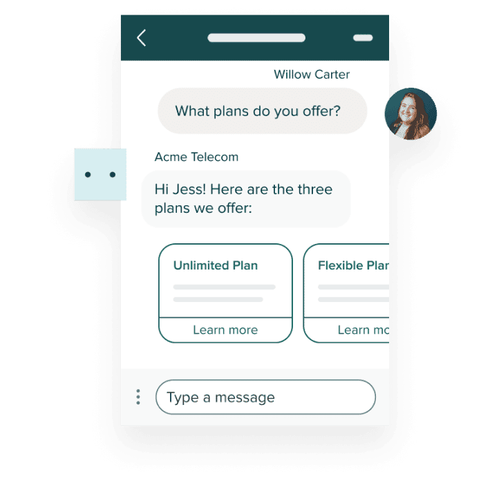 Product screen: Customer chat window